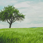 Read more about the article Our Living Learning