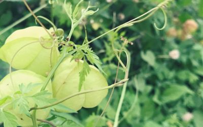 Her Words: The Sacredness of Personality