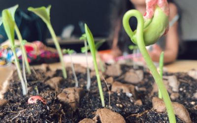 Her words, my random thoughts: On Attentiveness