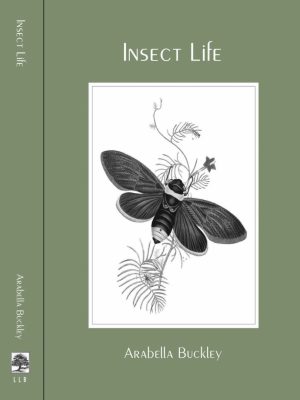 Insect Life
