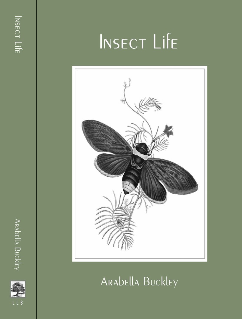Insect Life